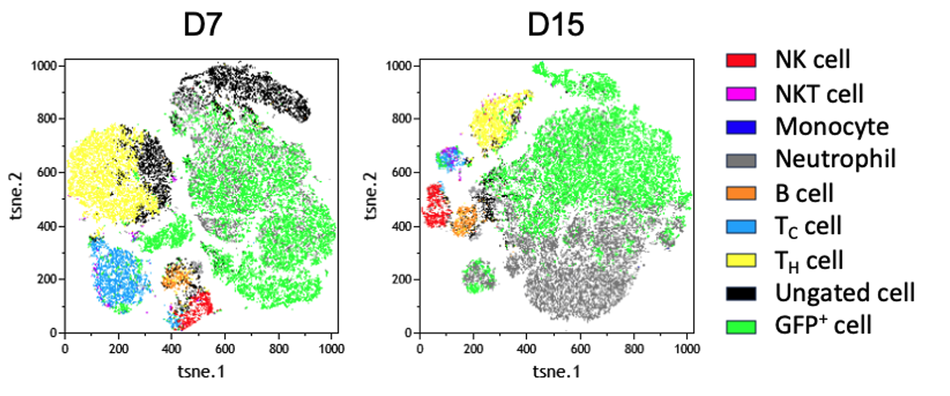 Representative BNX-IFS data
